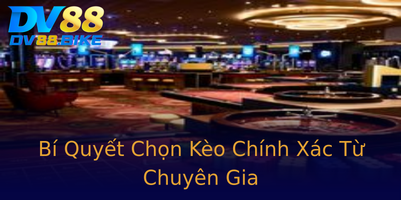 Bí Quyết Chọn Kèo Chính Xác Từ Chuyên Gia