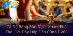 Ca O Bong Bau Duc Kham Pha The Gioi Ay Hap Dan Cung Dv88