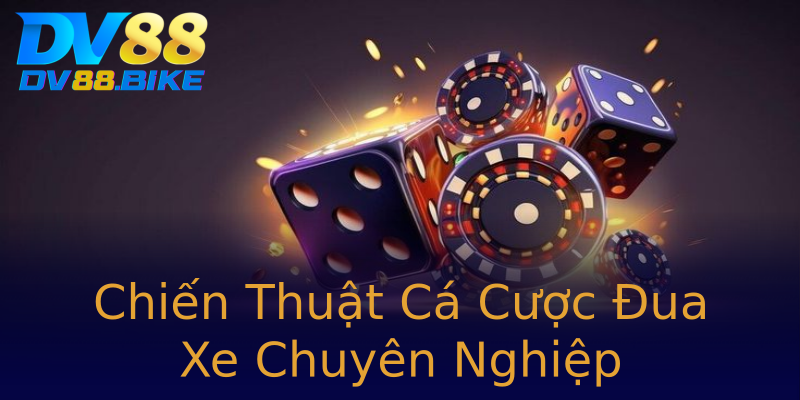 Chiến Thuật Cá Cược Đua Xe Chuyên Nghiệp