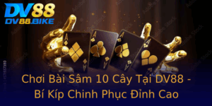 Choi Bai Sam 10 Cay Tai Dv88 Bi Kip Chinh Phuc Inh Cao