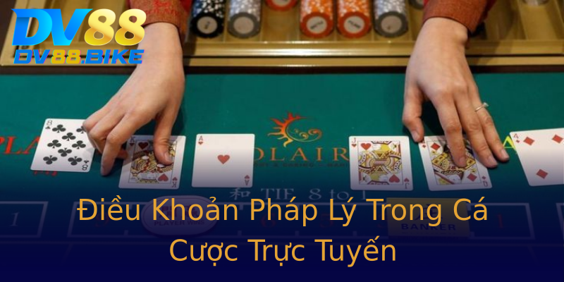 Điều Khoản Pháp Lý Trong Cá Cược Trực Tuyến