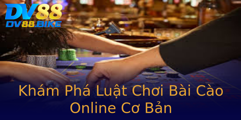 Khám Phá Luật Chơi Bài Cào Online Cơ Bản