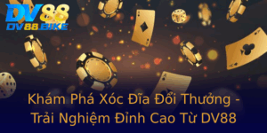 Kham Pha Xoc Ia Oi Thuong Trai Nghiem Inh Cao Tu Dv88