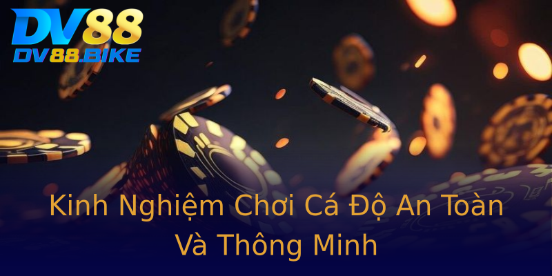 Kinh Nghiệm Chơi Cá Độ An Toàn Và Thông Minh Kinh Nghiệm Chơi Cá Độ An Toàn Và Thông Minh