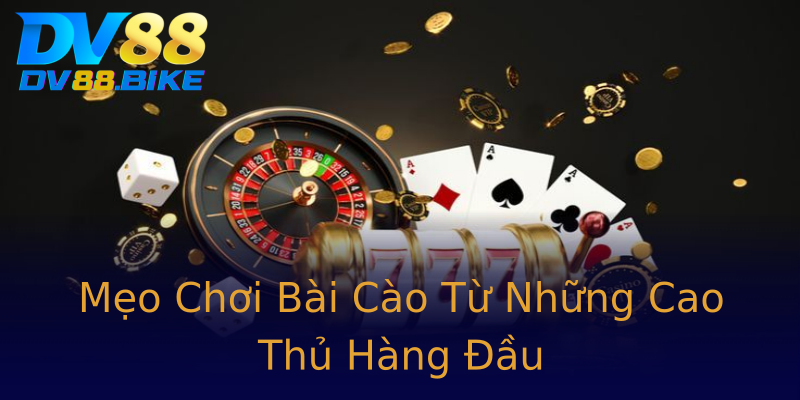 Mẹo Chơi Bài Cào Từ Những Cao Thủ Hàng Đầu