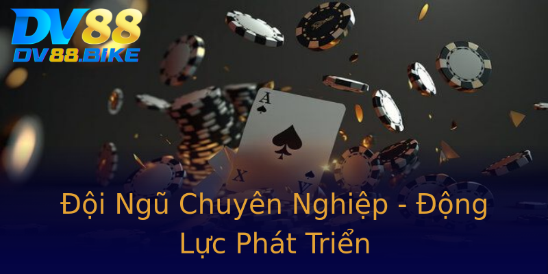 Đội Ngũ Chuyên Nghiệp - Động Lực Phát Triển Đội Ngũ Chuyên Nghiệp - Động Lực Phát Triển