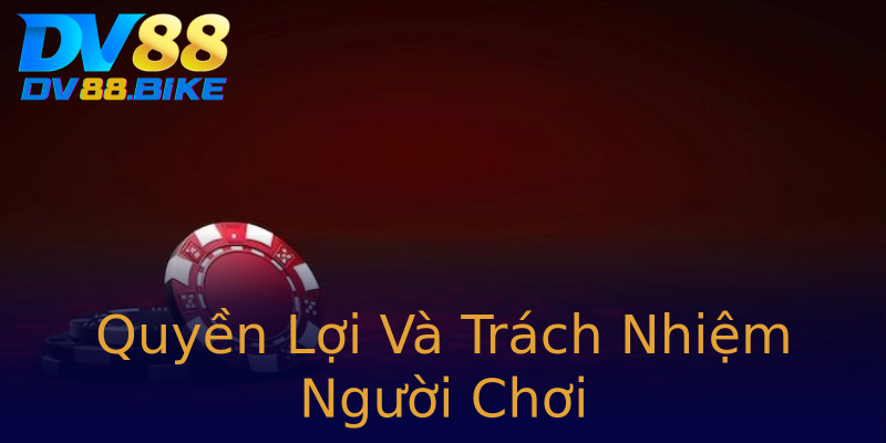 Quyền Lợi Và Trách Nhiệm Người Chơi