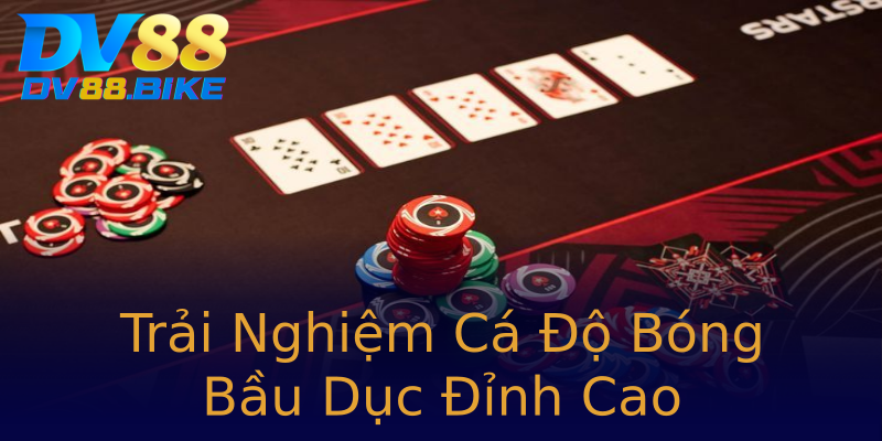 Trải Nghiệm Cá Độ Bóng Bầu Dục Đỉnh Cao Trải Nghiệm Cá Độ Bóng Bầu Dục Đỉnh Cao